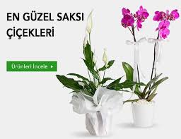 İzmir Yeşilyurt Çiçekçi