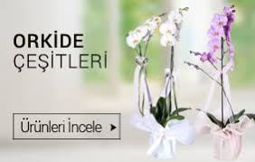 İzmir Karataş çiçekçiler butik çiçekler